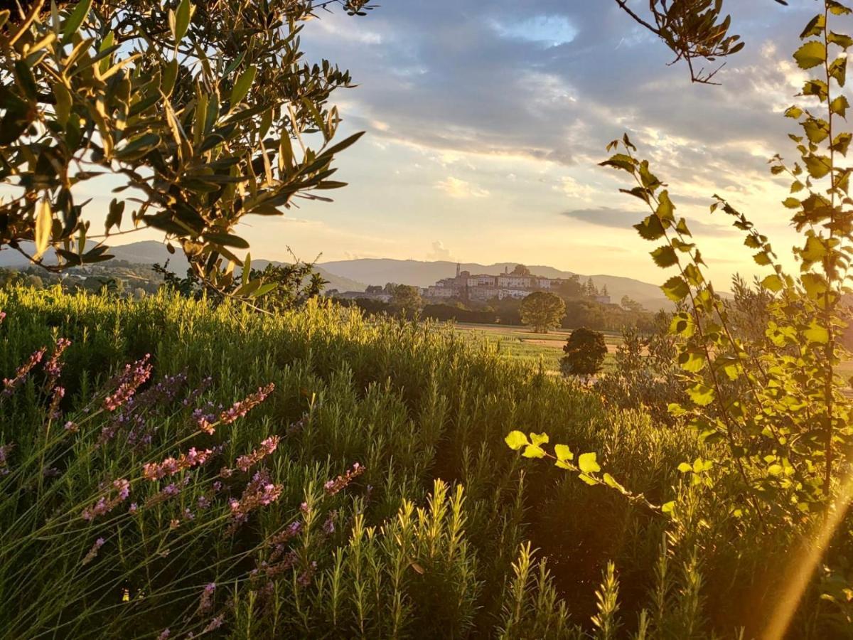 Luxury 1-Bedroom House With The Pool In Tuscany. Anghiari Dış mekan fotoğraf