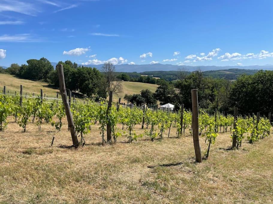 Luxury 1-Bedroom House With The Pool In Tuscany. Anghiari Dış mekan fotoğraf