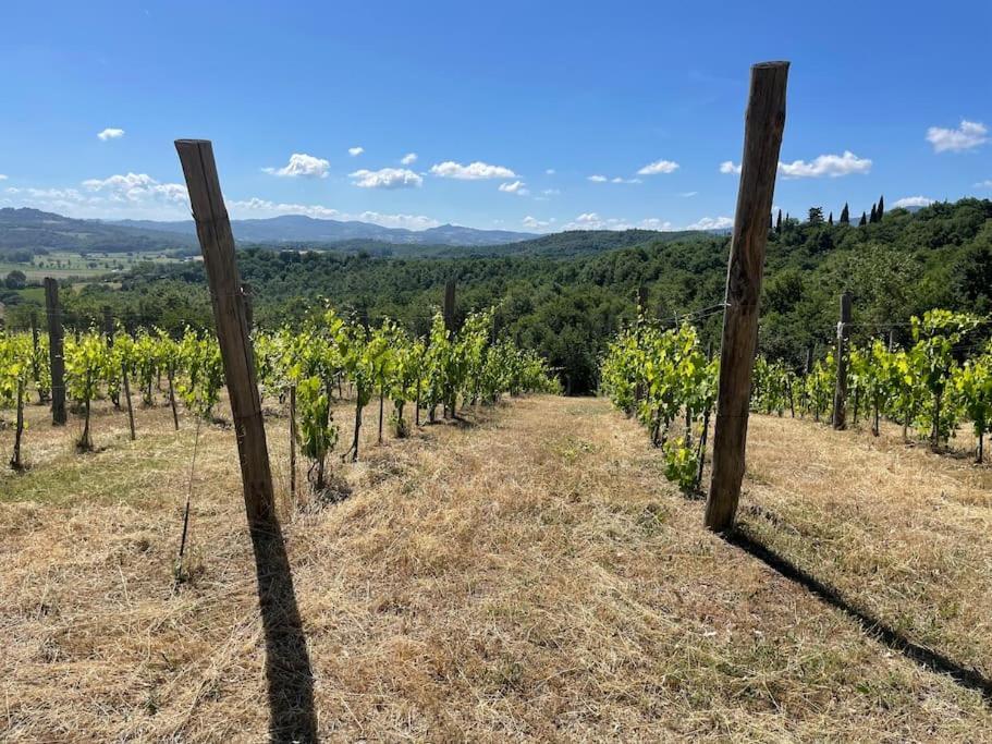 Luxury 1-Bedroom House With The Pool In Tuscany. Anghiari Dış mekan fotoğraf