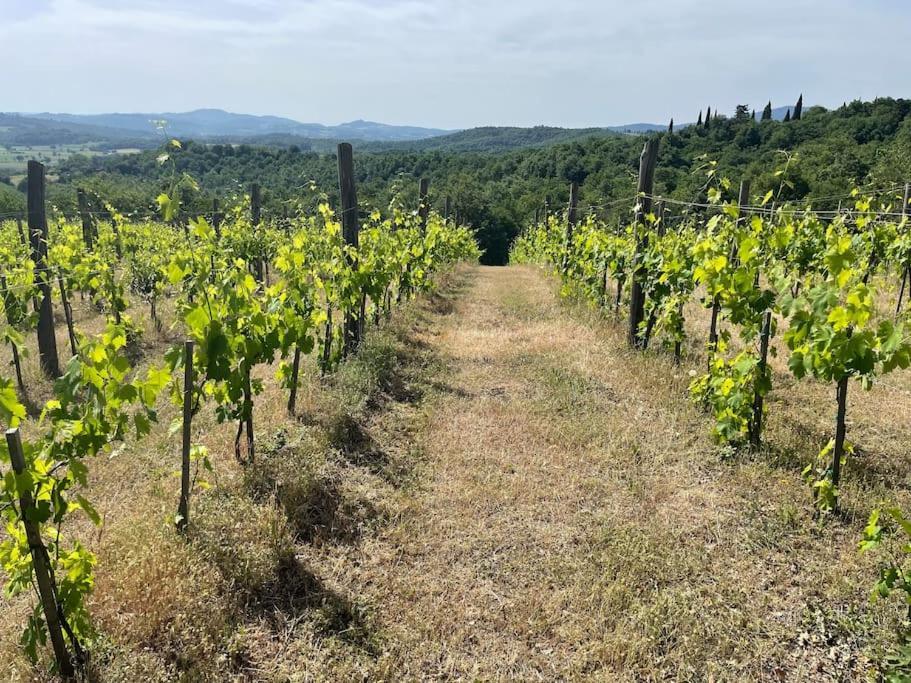 Luxury 1-Bedroom House With The Pool In Tuscany. Anghiari Dış mekan fotoğraf
