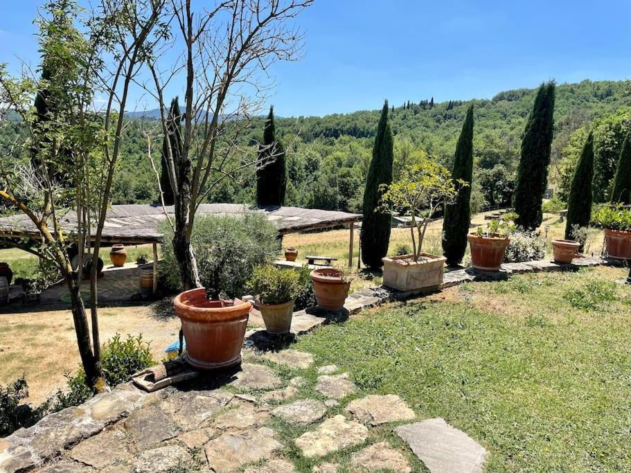 Luxury 1-Bedroom House With The Pool In Tuscany. Anghiari Dış mekan fotoğraf