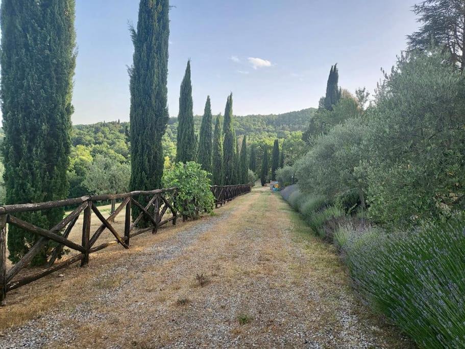 Luxury 1-Bedroom House With The Pool In Tuscany. Anghiari Dış mekan fotoğraf