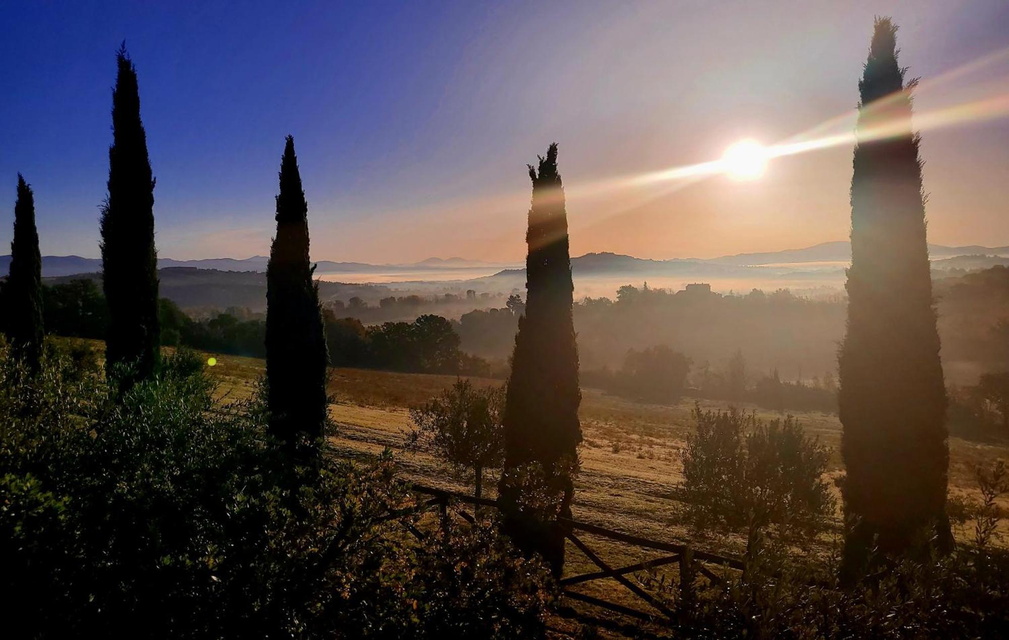 Luxury 1-Bedroom House With The Pool In Tuscany. Anghiari Dış mekan fotoğraf